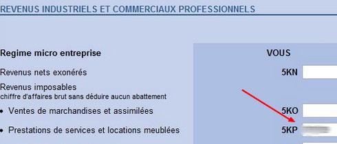 Credit impot immobilier